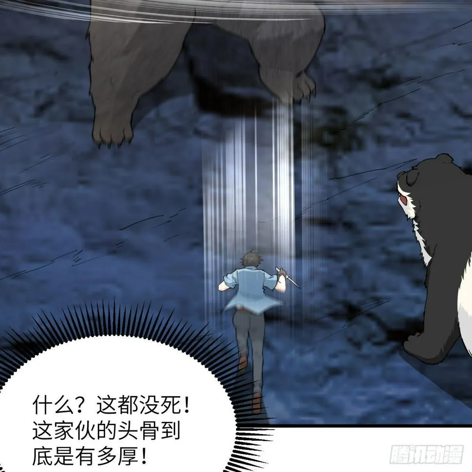 010 双熊斗 第66页