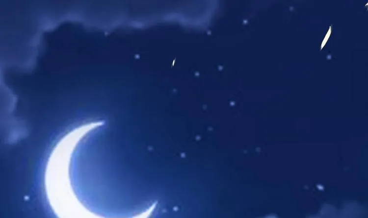 第11话 她会救我吗？ 第84页