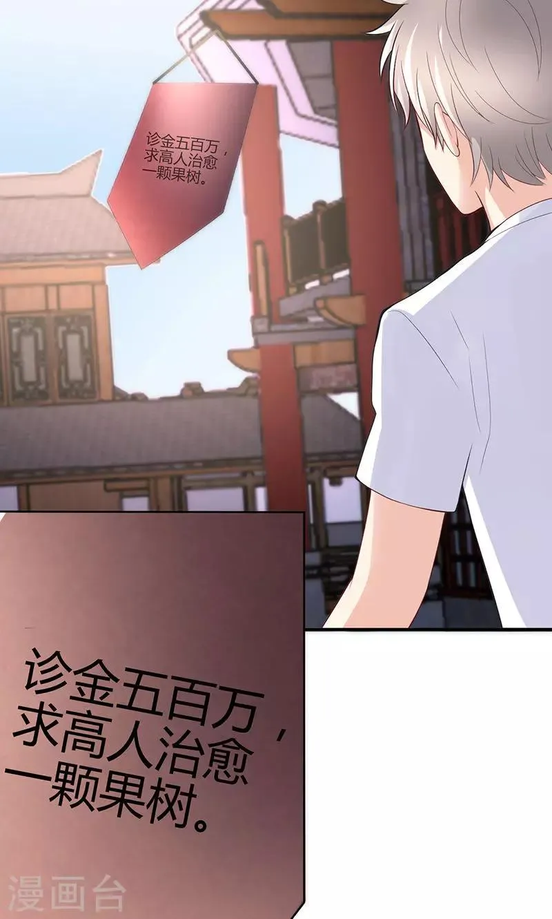 第74话 第19页