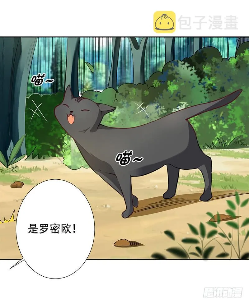 041 只有他才能想得出来 第13页