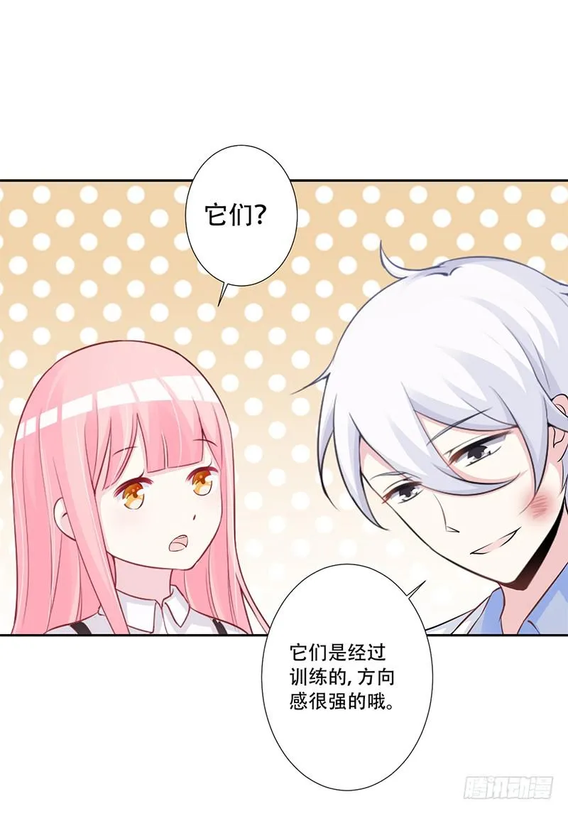 041 只有他才能想得出来 第17页