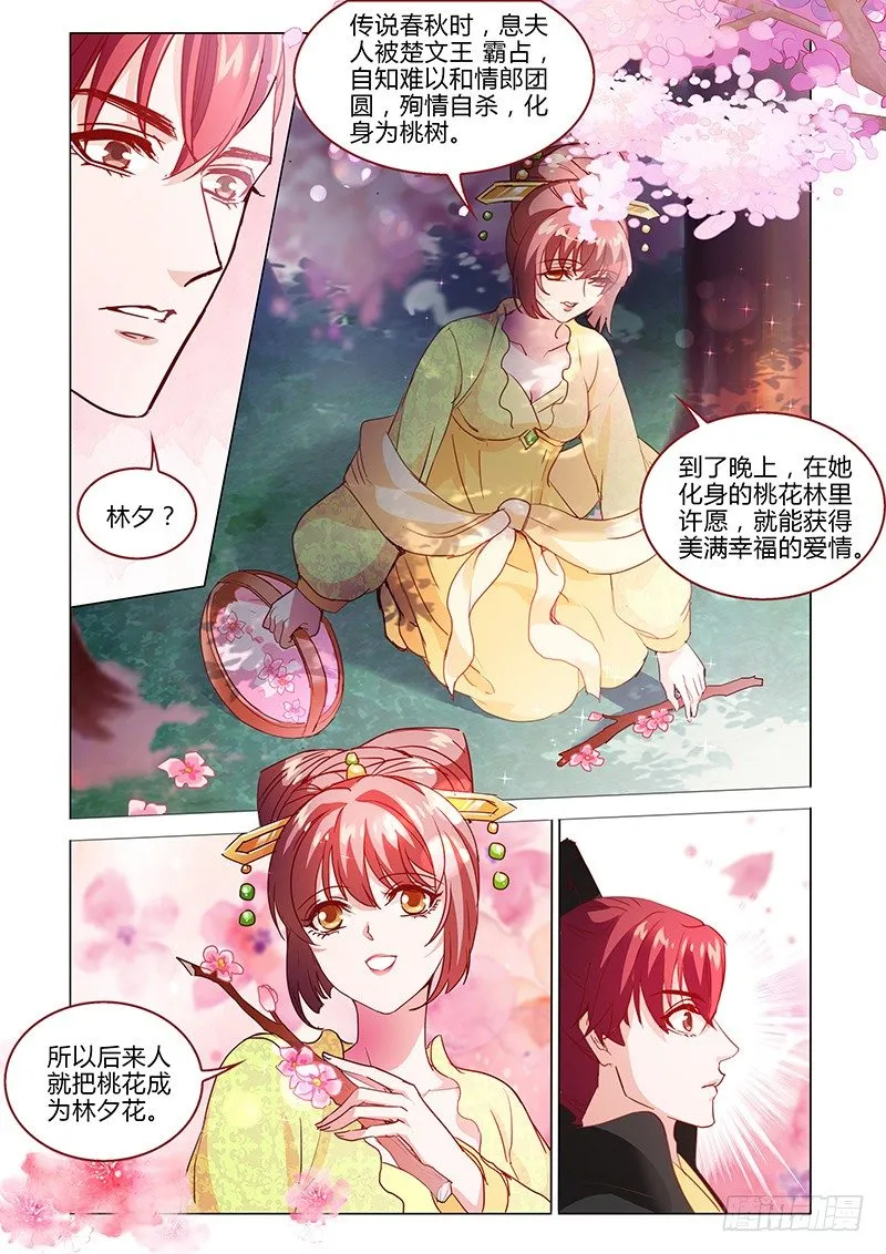 31 第6页