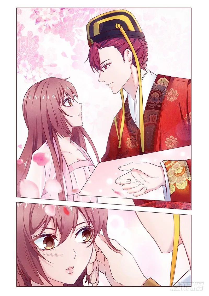 7 第4页