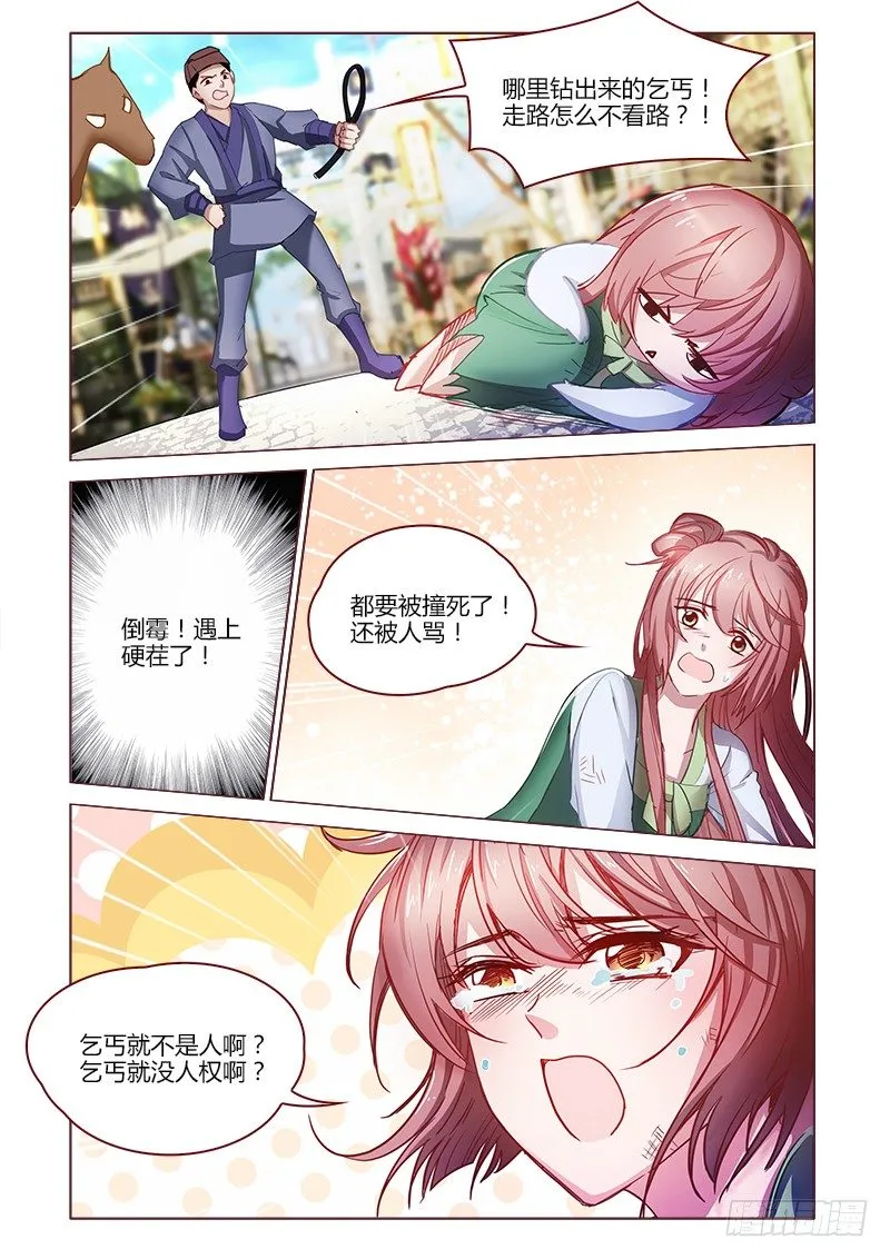 12 第5页