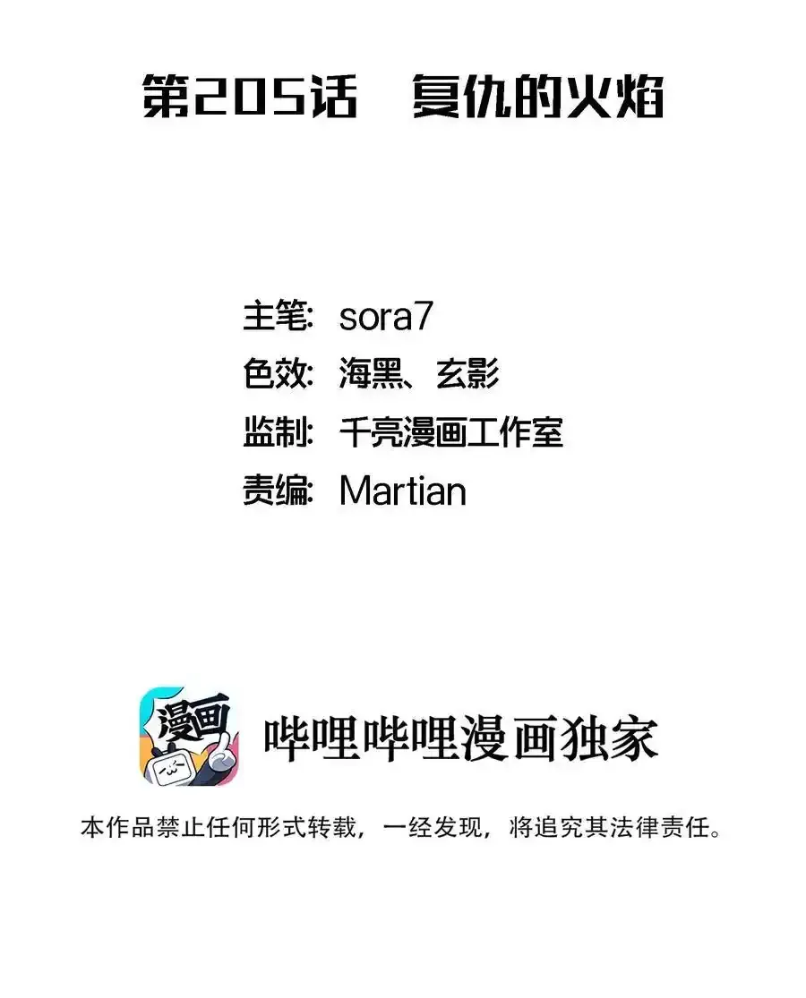 205 复仇的火焰 第2页
