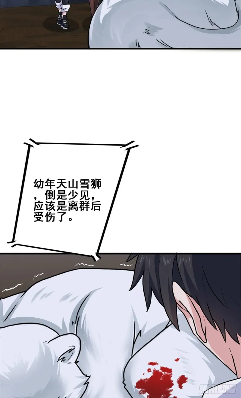 64 小狮子的报恩 第5页