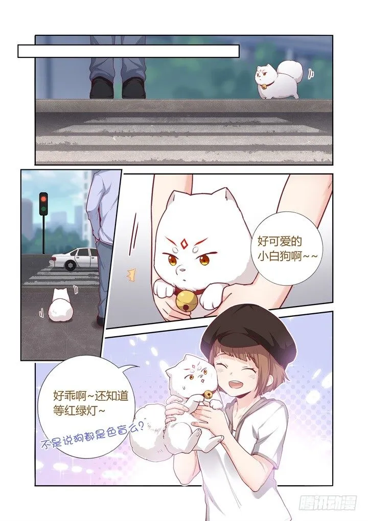 71.绑架开始 第7页