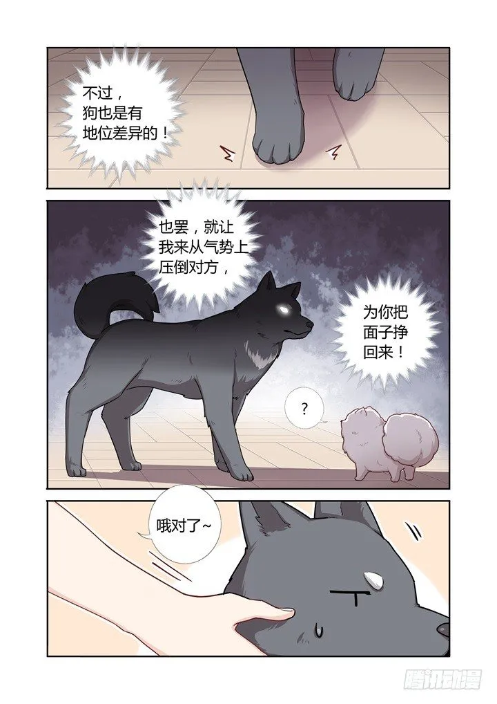 66.比拼 第9页