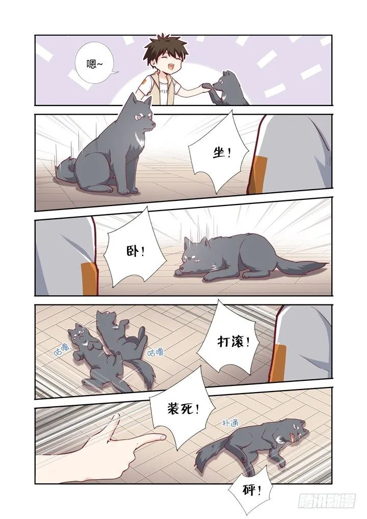 66.比拼 第12页