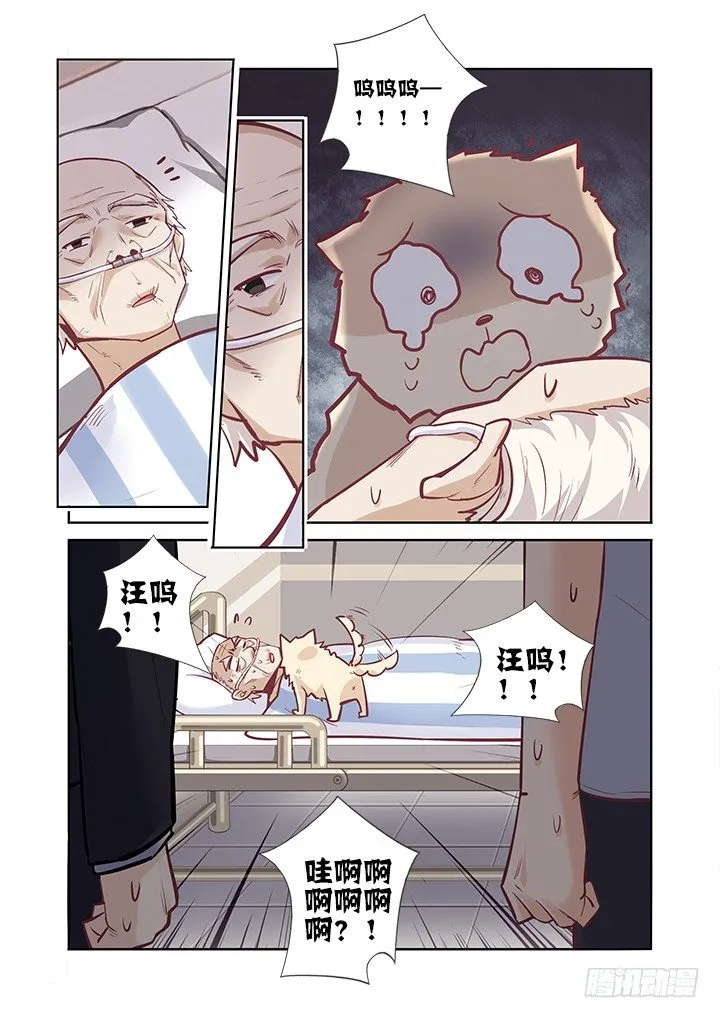 40.跌宕起伏 第9页