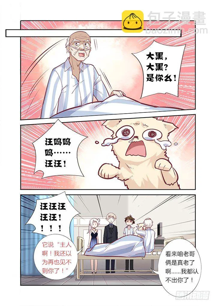 40.跌宕起伏 第11页