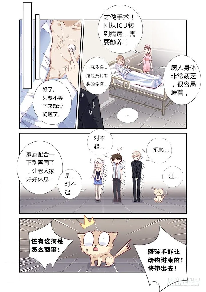 41.好演技 第4页
