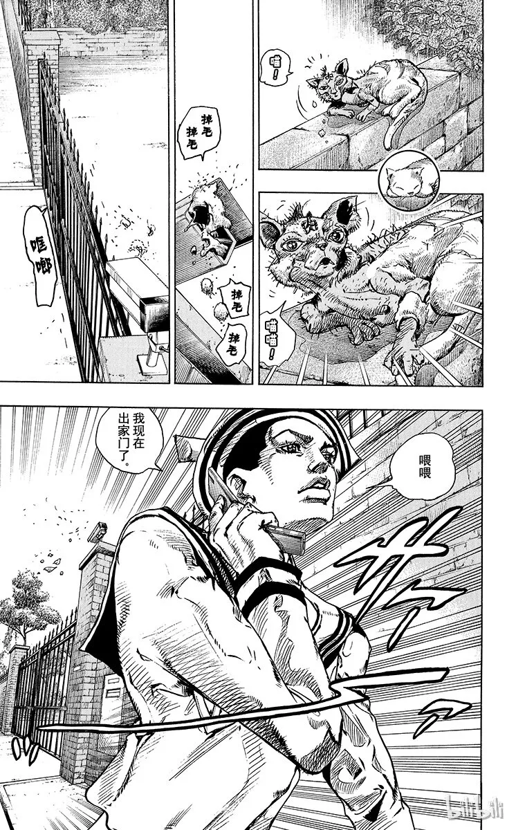 12 [佩斯利公园]与[完美天生] 其1 第17页