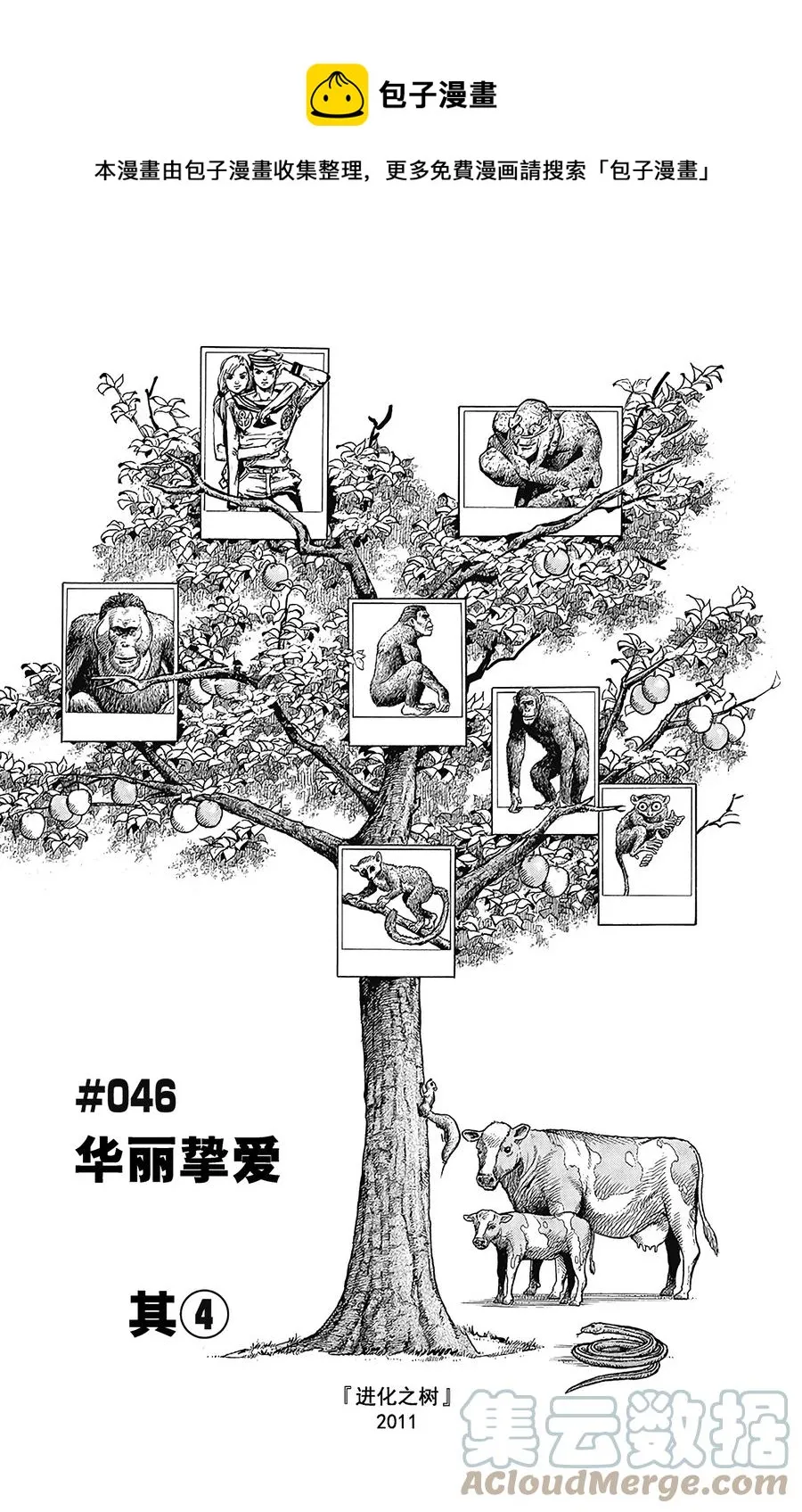 46 华丽挚爱 其4 第1页