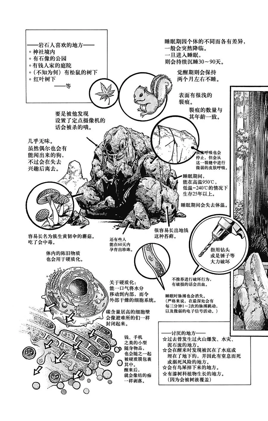 46 华丽挚爱 其4 第3页