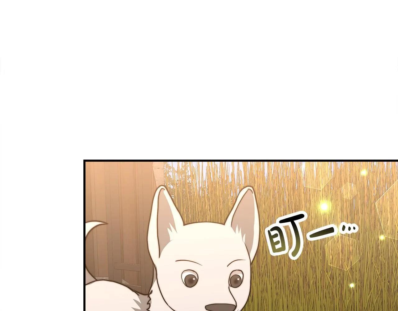 第24话 参观巡视 第147页