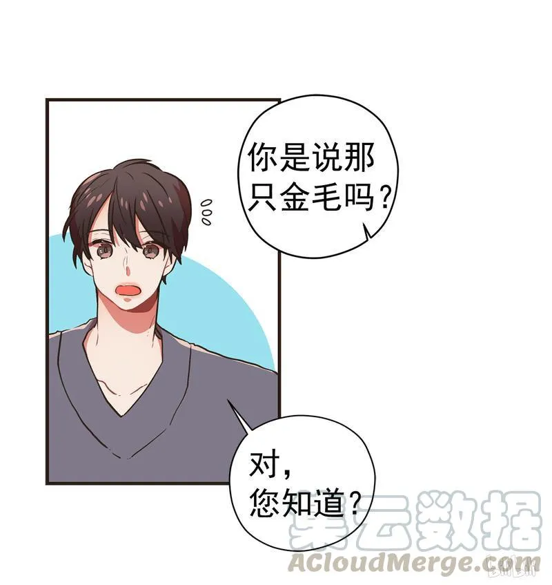99 被“遗弃”的真相 第13页