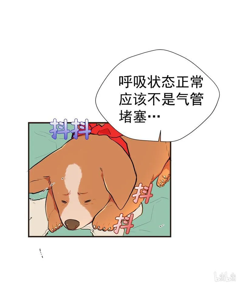 104 神秘人的礼物 第12页