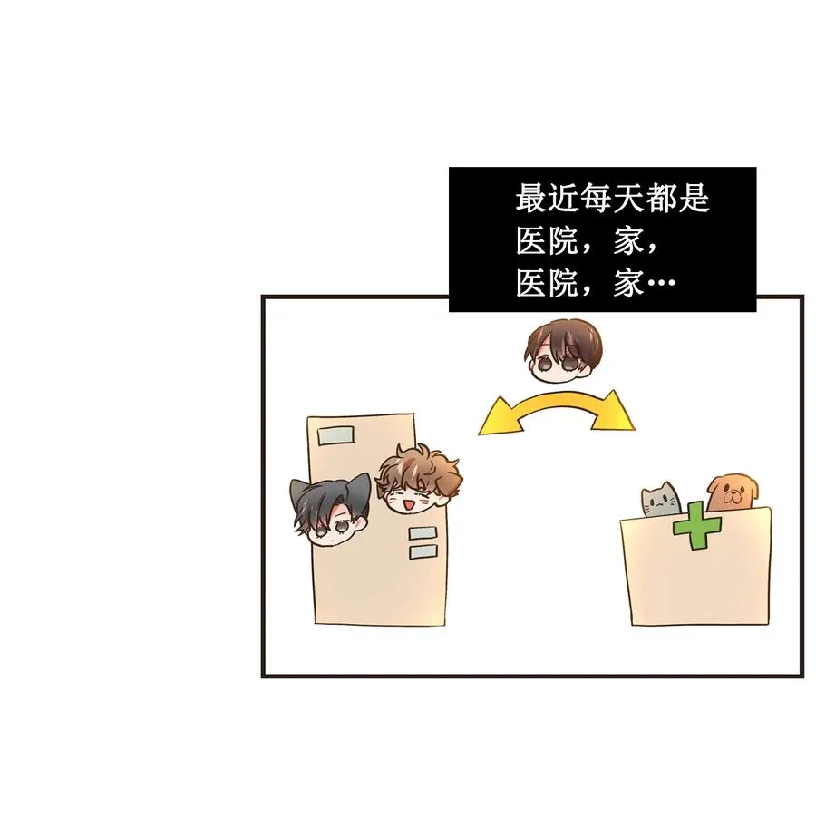 112 姐姐飞机坠落了？ 第4页