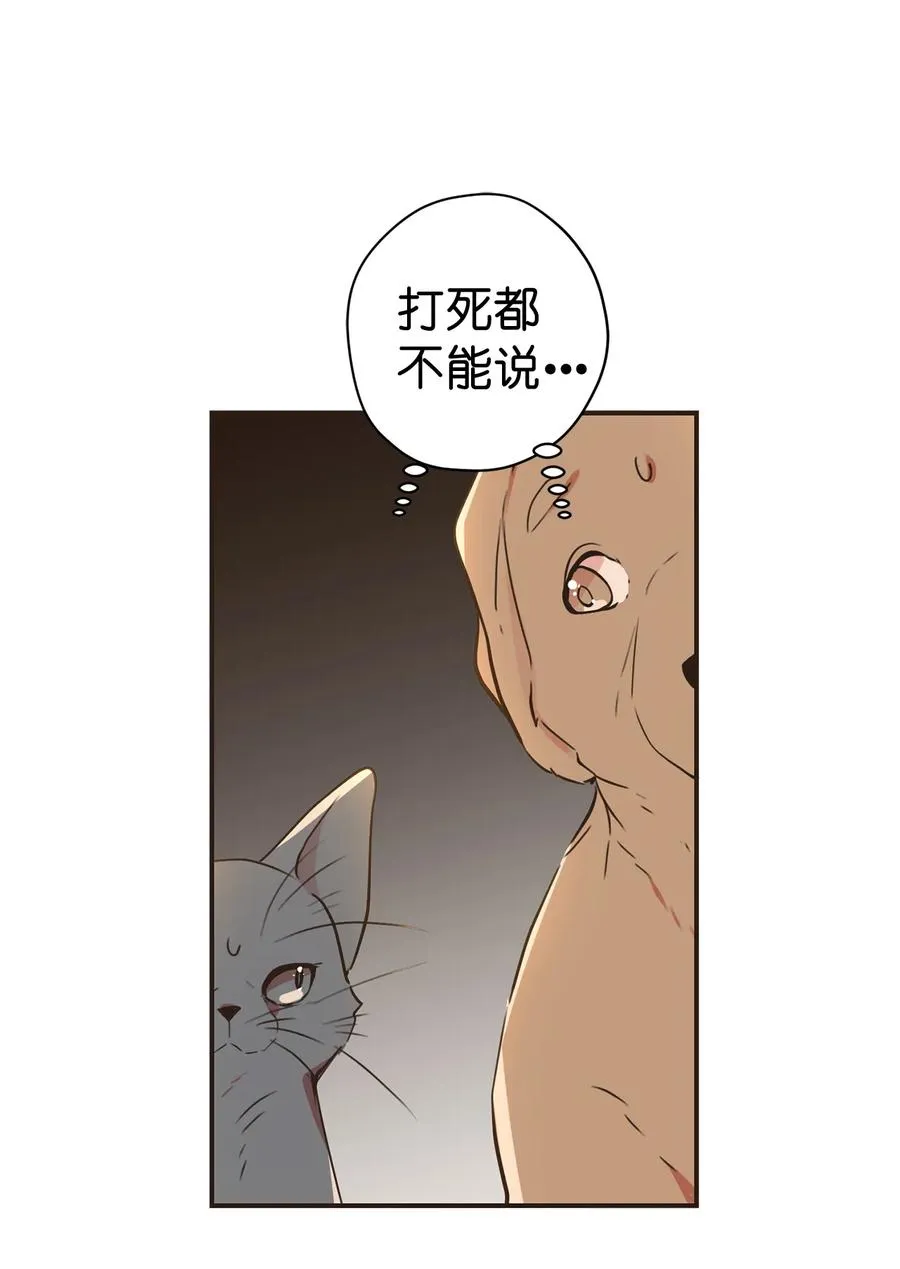 123 我的手机会自己跑？ 第14页