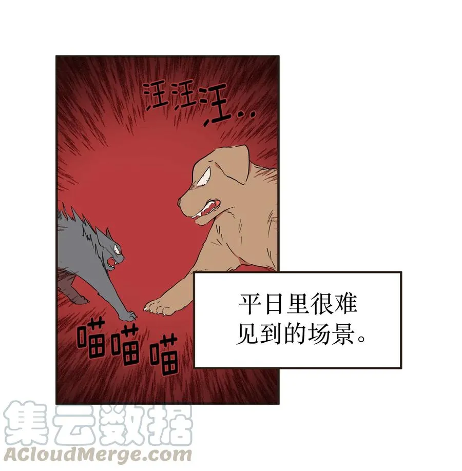 139 他俩打起来了！ 第25页