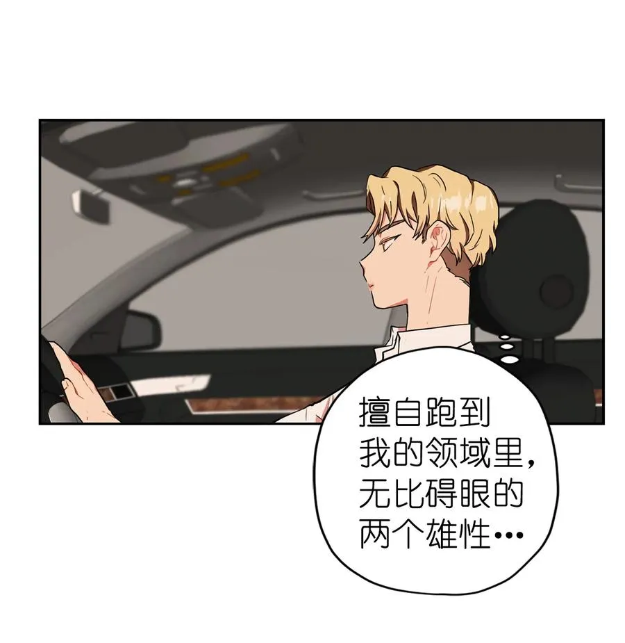 148 心神不宁遇车祸 第23页