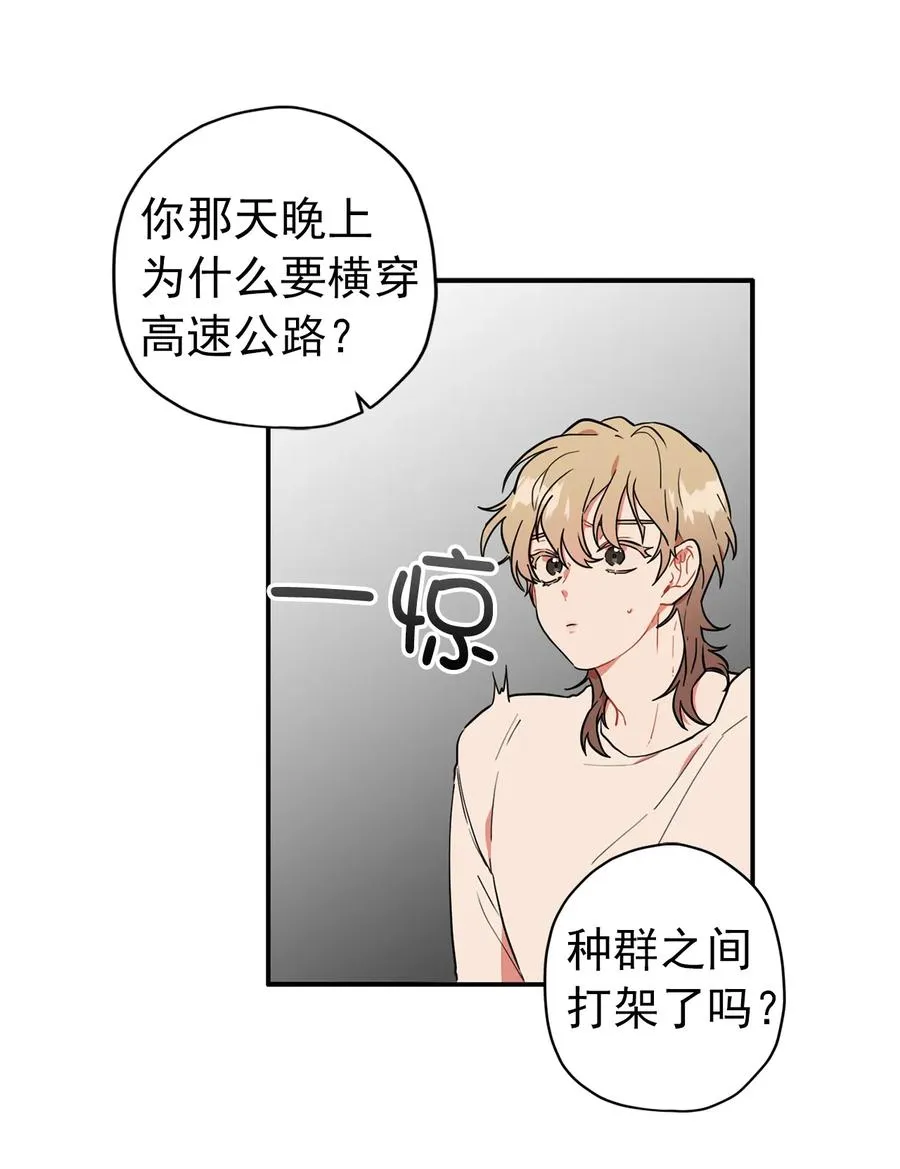 149 小鹿兽人 第26页