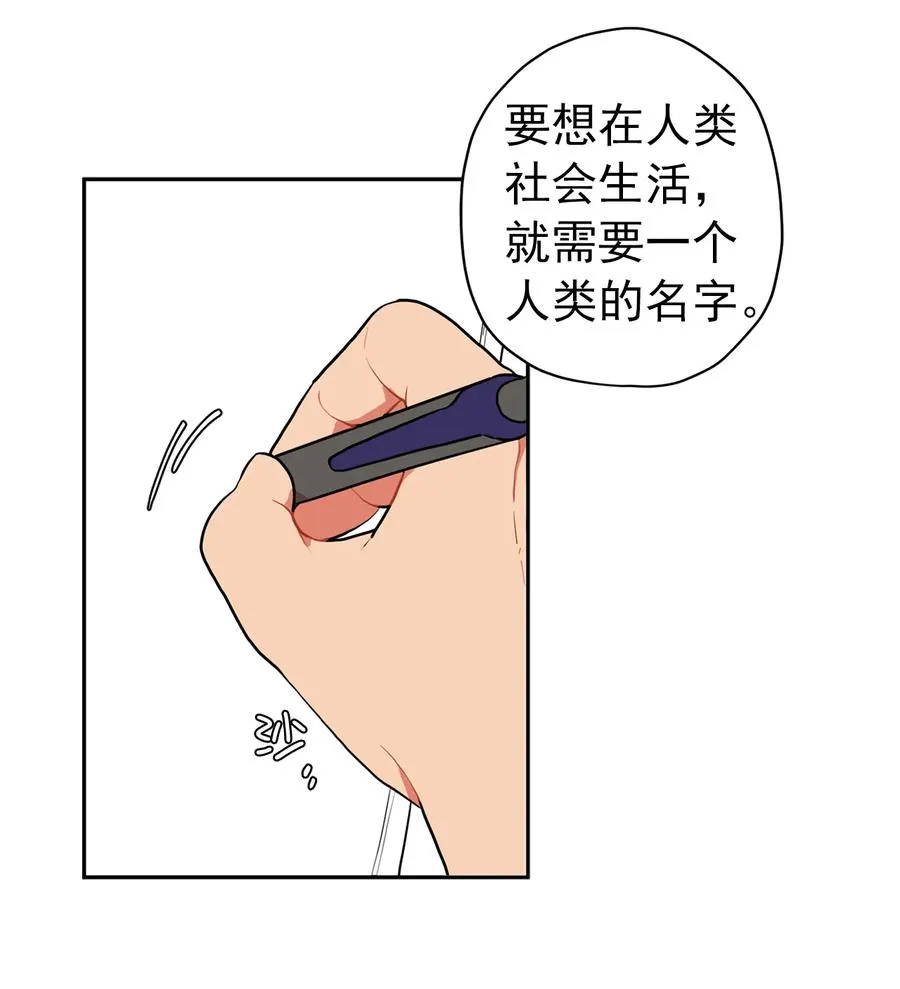 151 给你一个名字 第19页