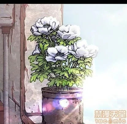 第114话 第65页