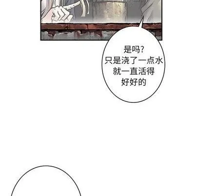 第114话 第77页