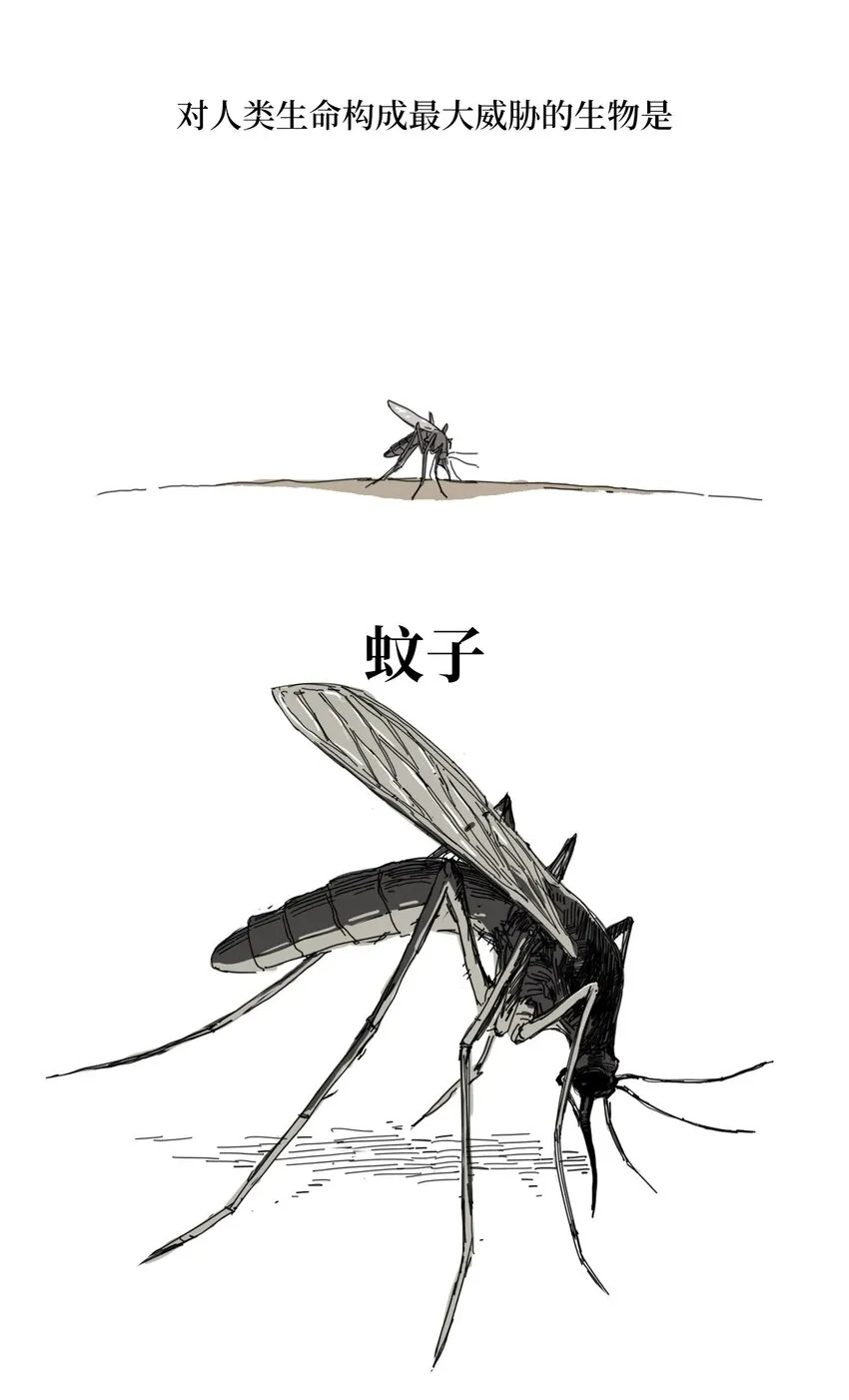01 01 第10页