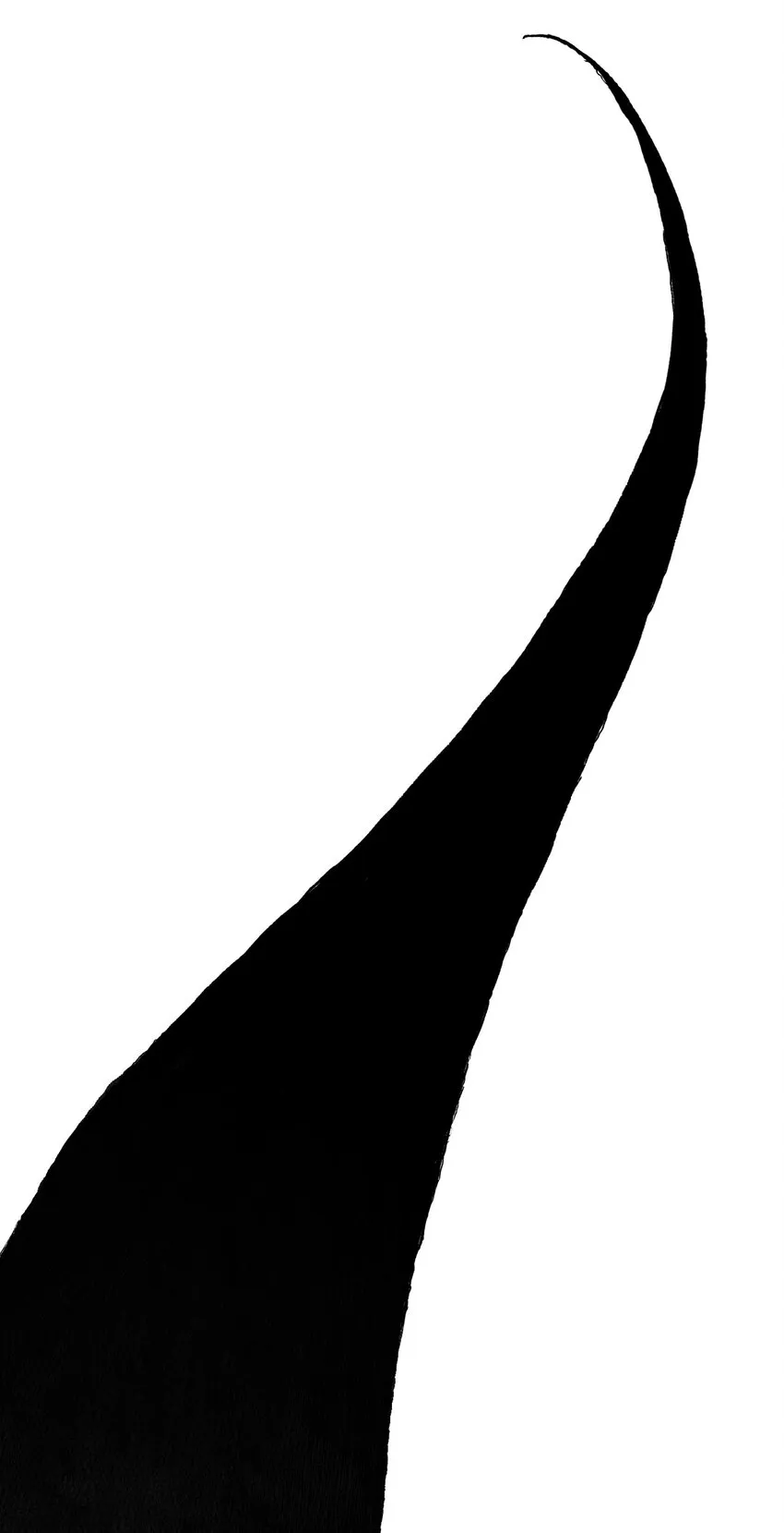 01 01 第54页