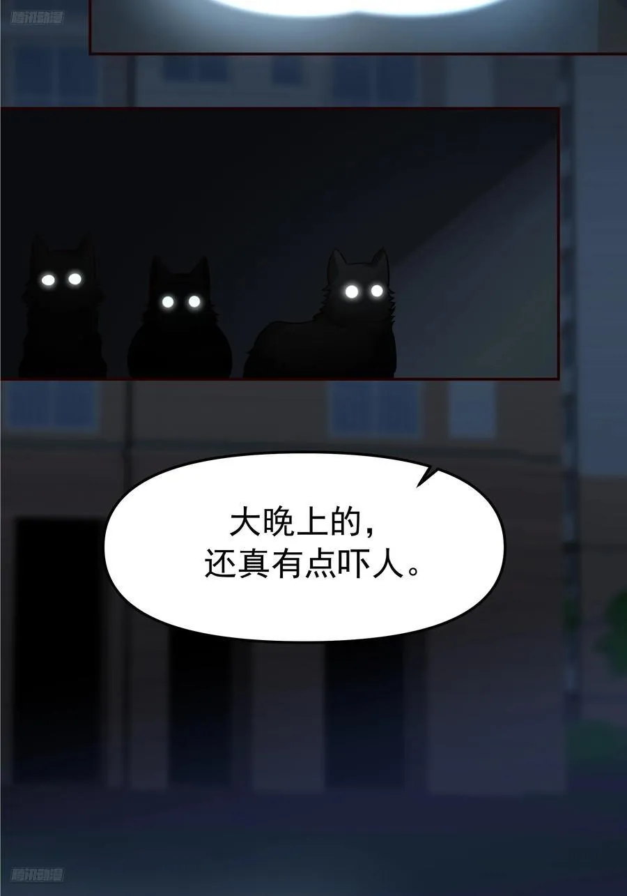 要什么自行车？ 第3页