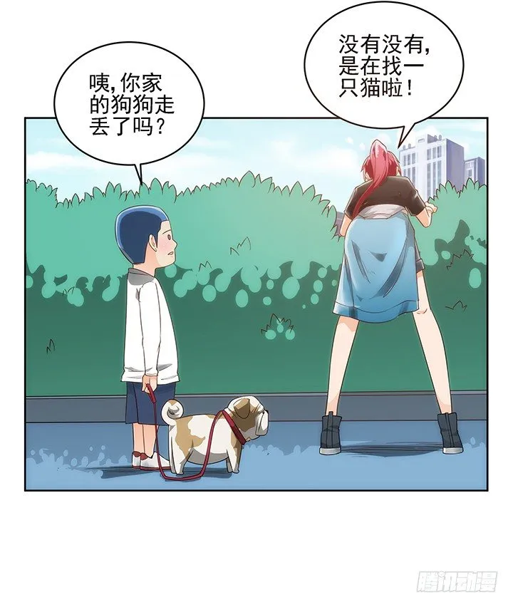 5话 寻猫有道 第13页