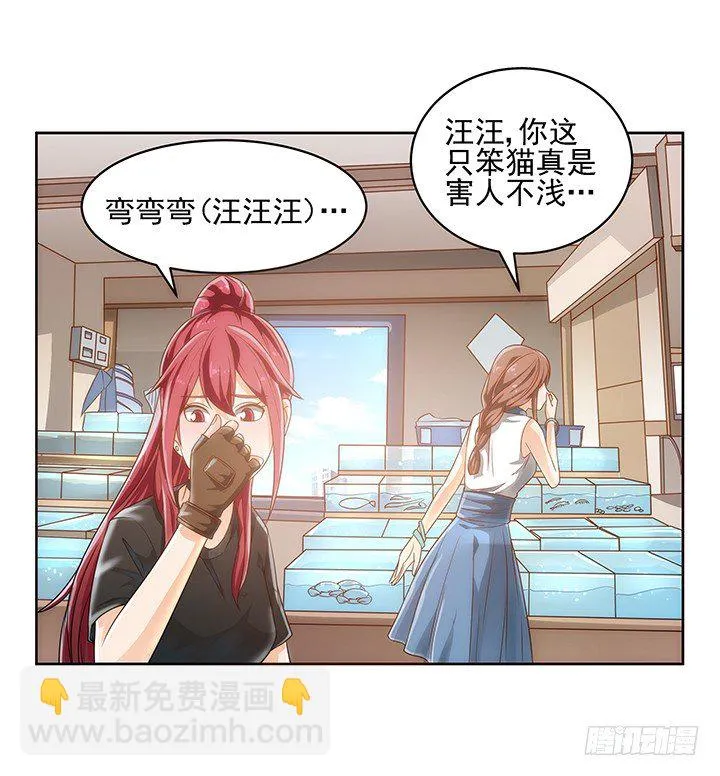 5话 寻猫有道 第17页