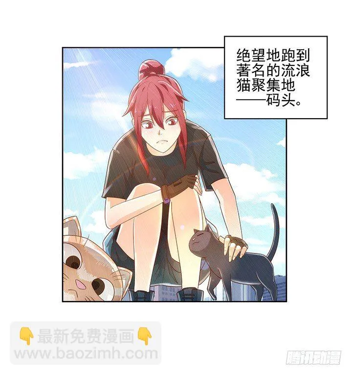 5话 寻猫有道 第24页