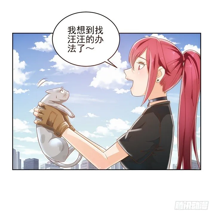 5话 寻猫有道 第47页