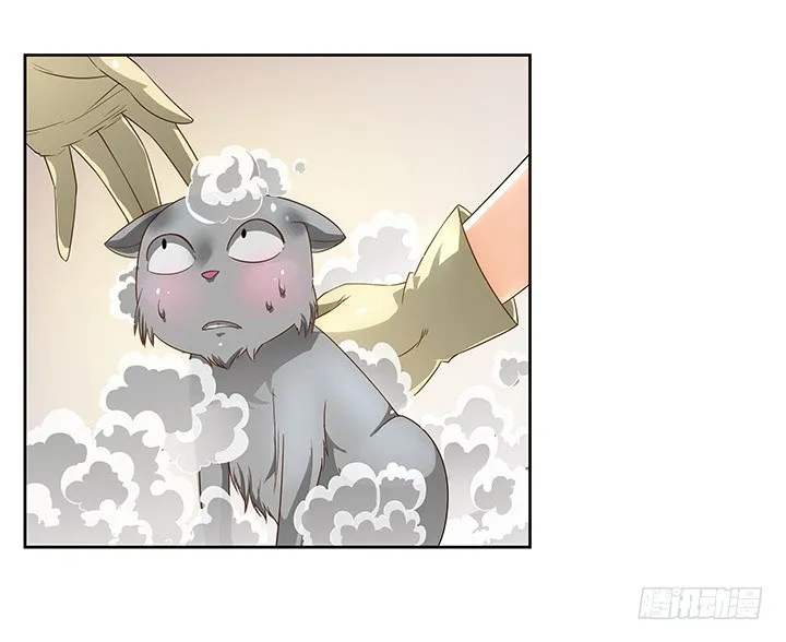 5话 寻猫有道 第51页