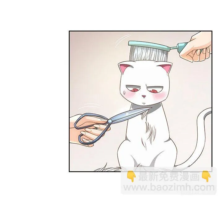 5话 寻猫有道 第52页