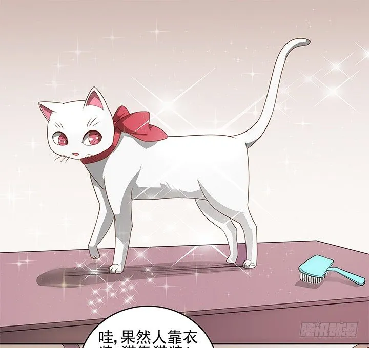 5话 寻猫有道 第53页