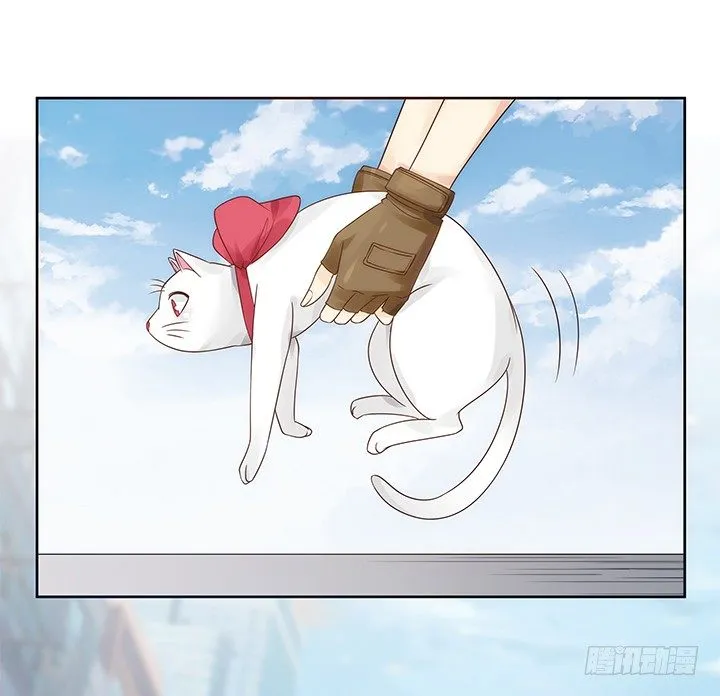 5话 寻猫有道 第62页