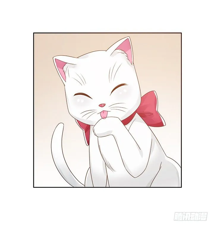 5话 寻猫有道 第66页