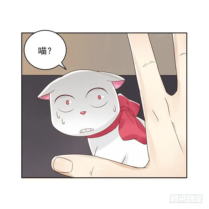 5话 寻猫有道 第68页
