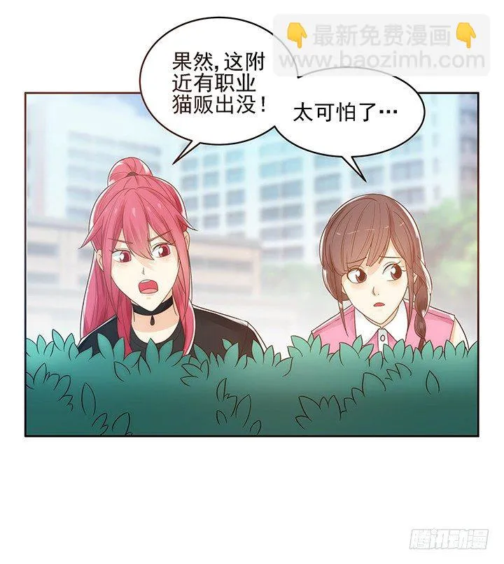 5话 寻猫有道 第73页