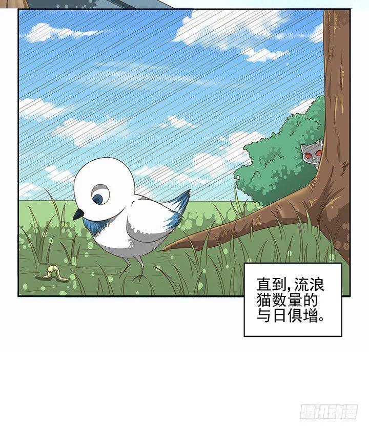 7话 你脑袋里只有臭豆腐 第5页