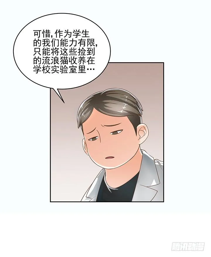 7话 你脑袋里只有臭豆腐 第12页