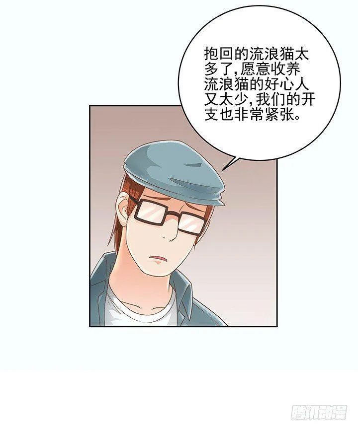 7话 你脑袋里只有臭豆腐 第13页