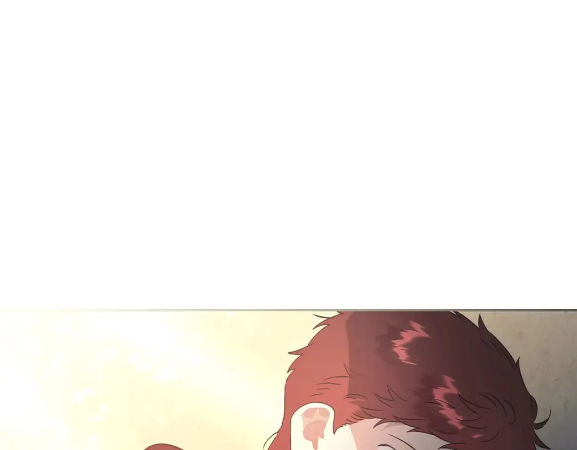 第167话 全城浪漫 第14页