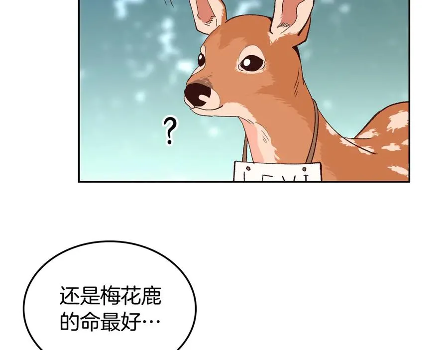 第52话 带你回家 第15页