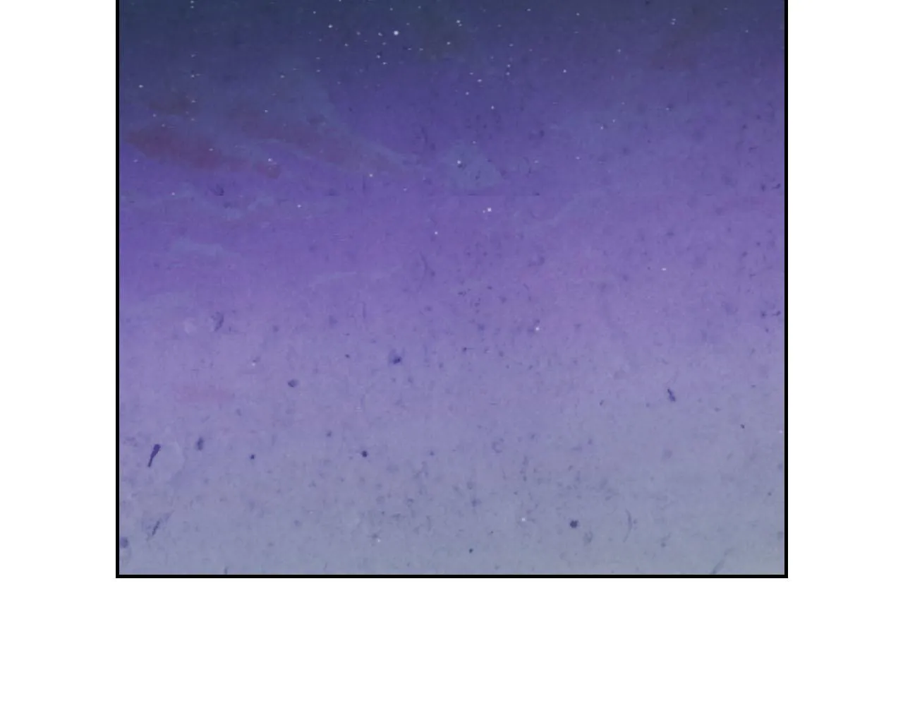 第89话 怀孕？ 第65页